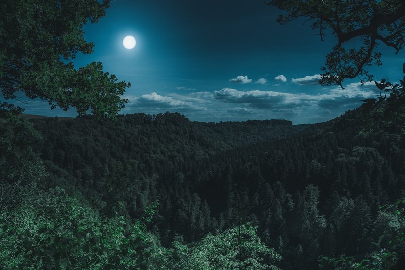 Full Moon Weddings