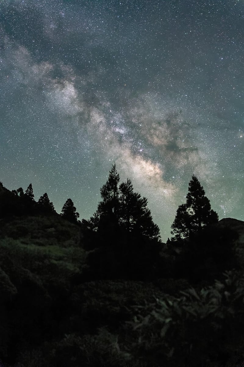Cosmic Love